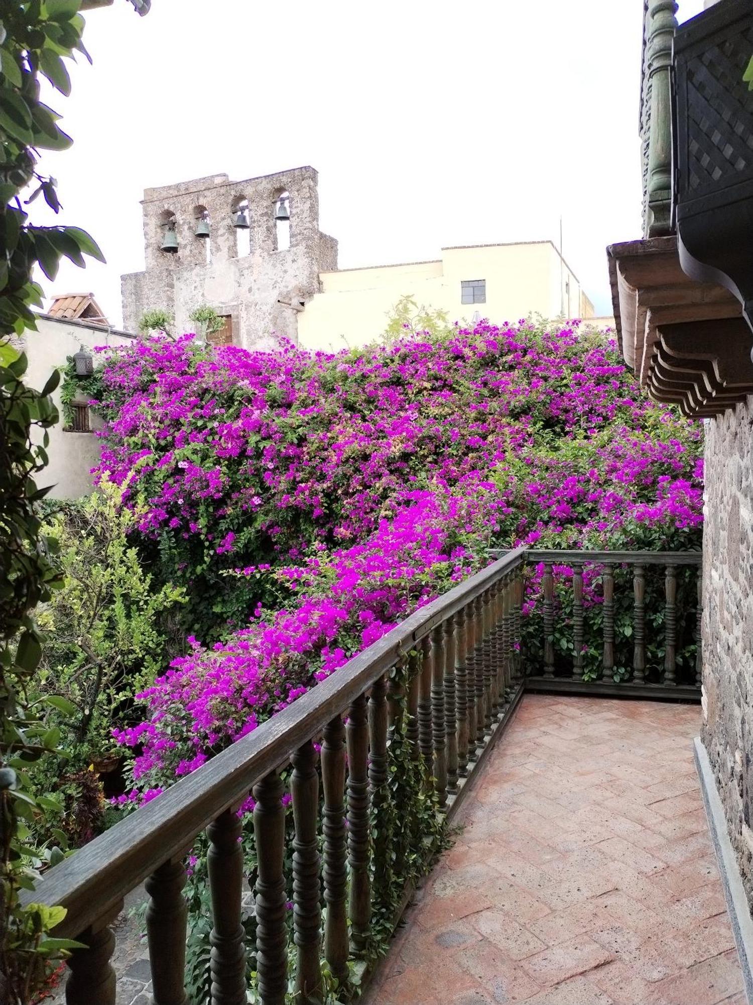 Hacienda Las Amantes Альенде Экстерьер фото